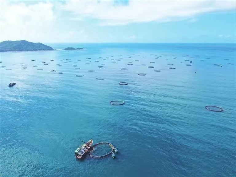 再攀新高！三亞農投海洋產(chǎn)業(yè)有限公司成功入選海南省專(zhuān)精特新企業(yè)